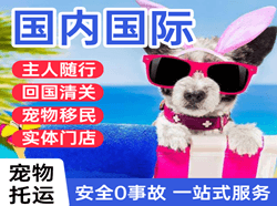 福州机场物流国际宠物托运 【国